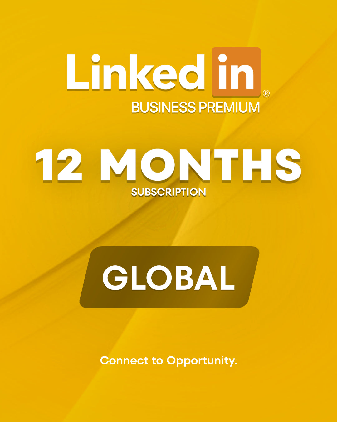 LinkedIn Business Premium 12 Months (Global) - Linkedin Key