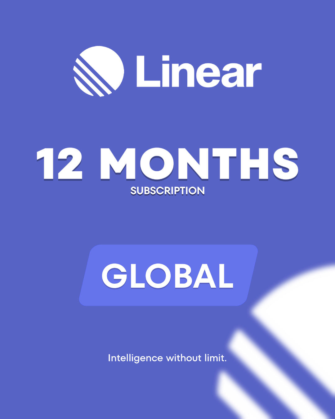 Linear Basic Plan 12 Months (Global) - Key